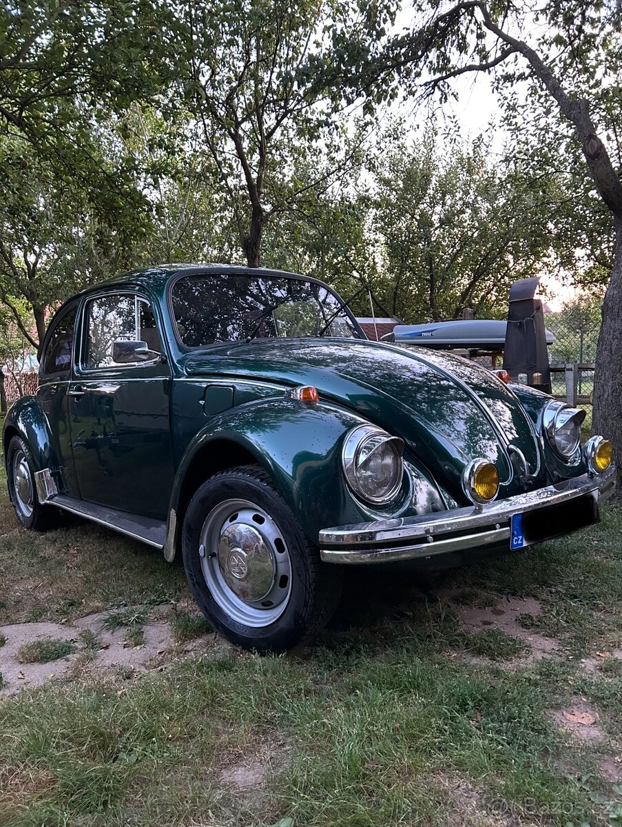 VW brouk