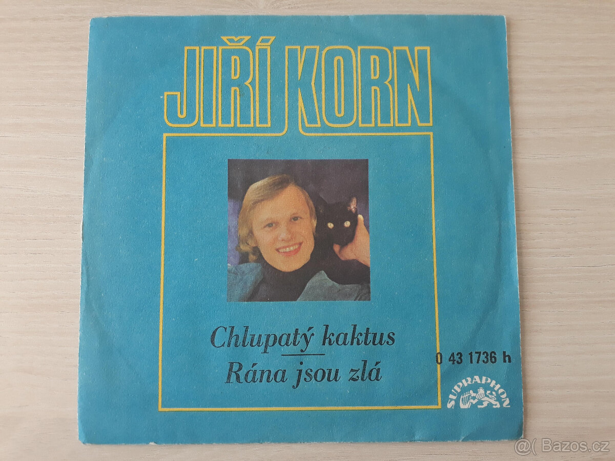 Jiří Korn - Chlupatý kaktus / Rána jsou zlá (1974)
