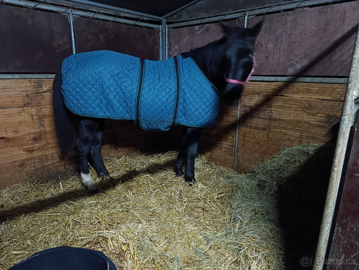 Koupím stájovou deku 130