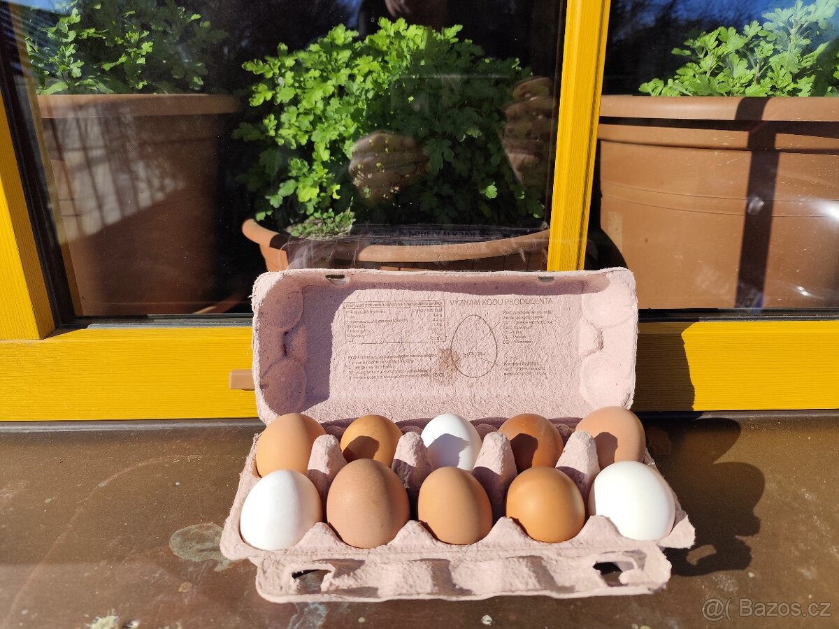 Domácí vajíčka
