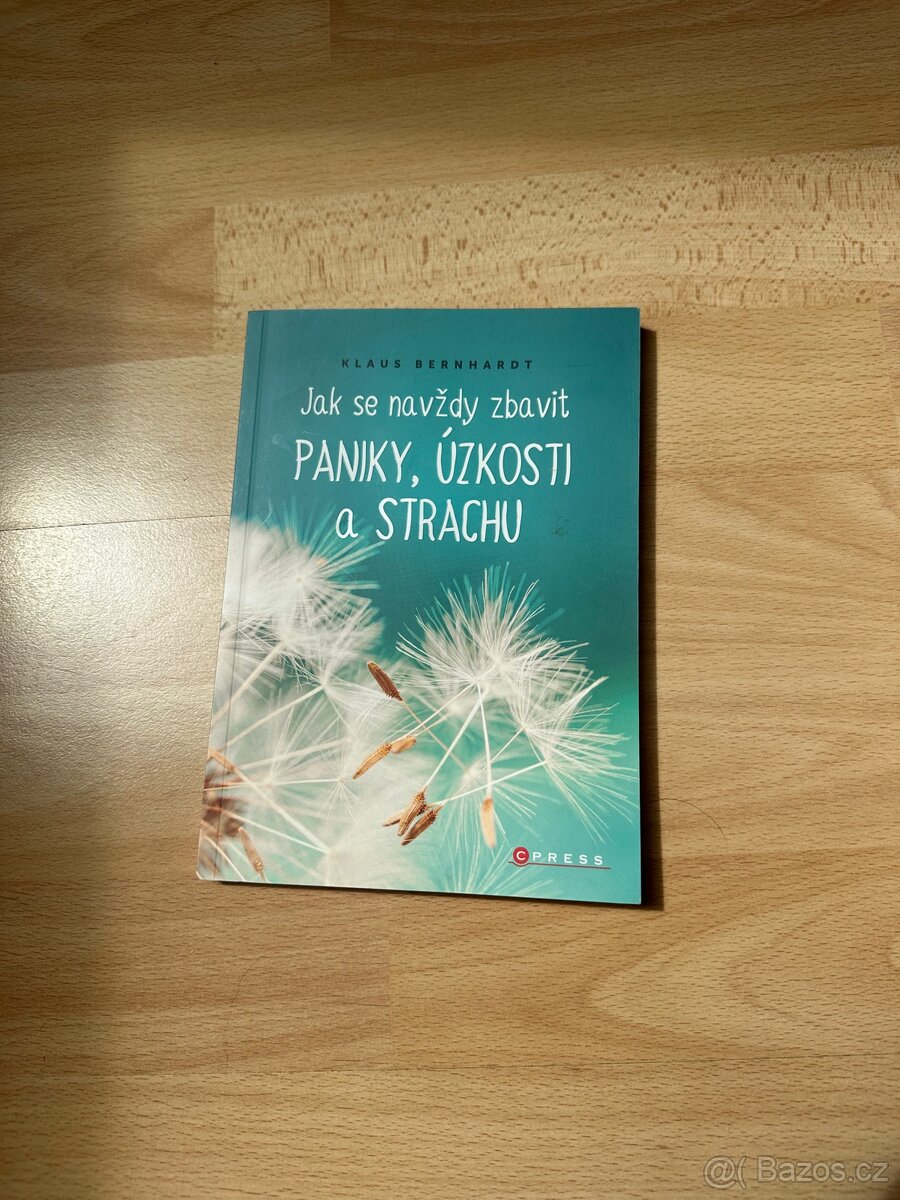 Jak se navždy zbavit paniky, úzkosti a strachu