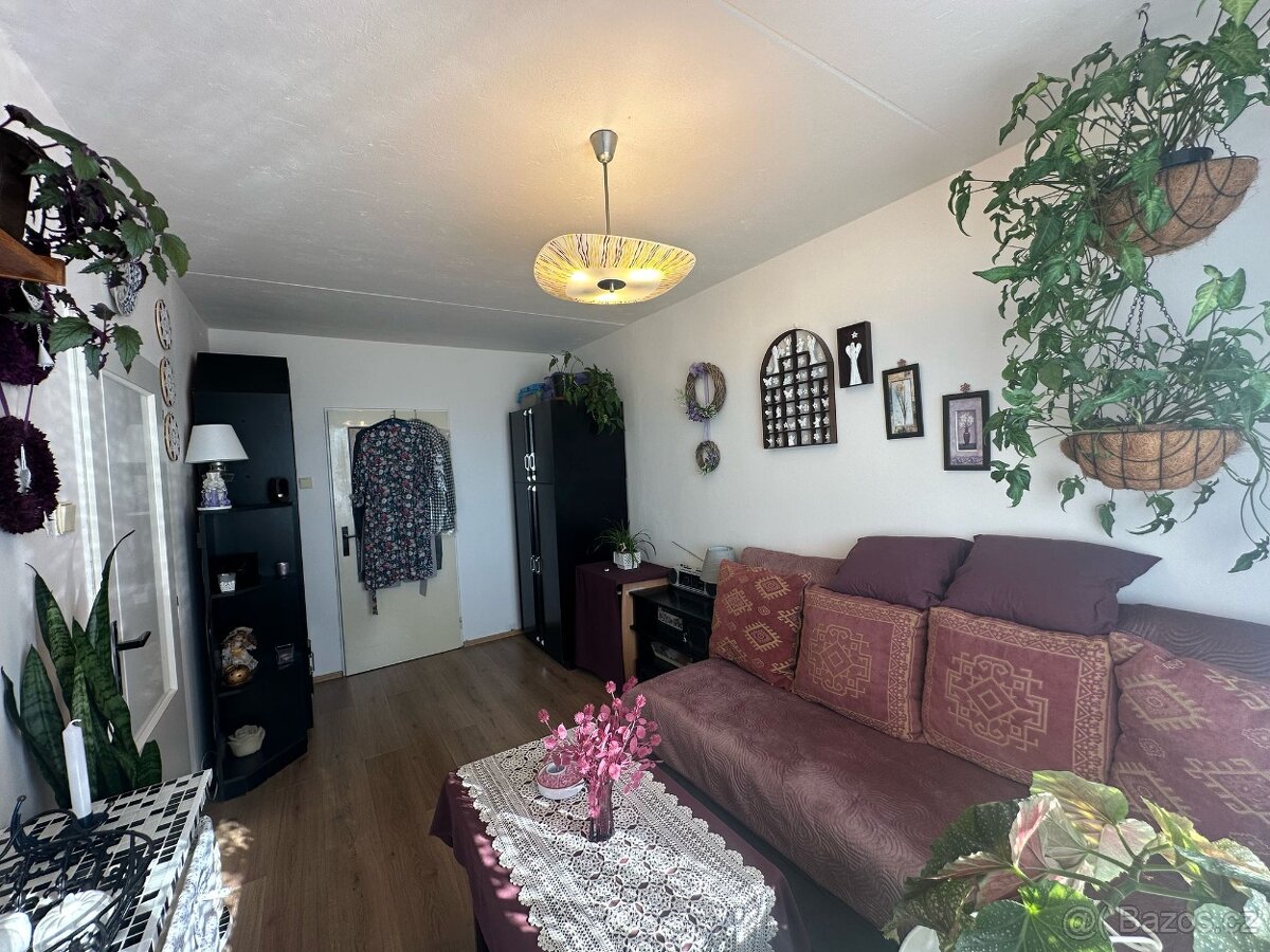 Družstevní byt 1+1+L, Teplice - Trnovany, J.Koziny, 40m2