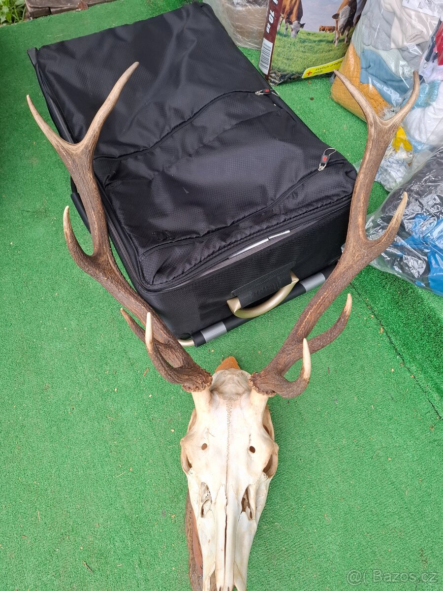 Paroží
