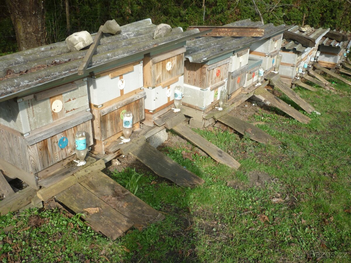 Včely rámková míra 39x24 22 rámku