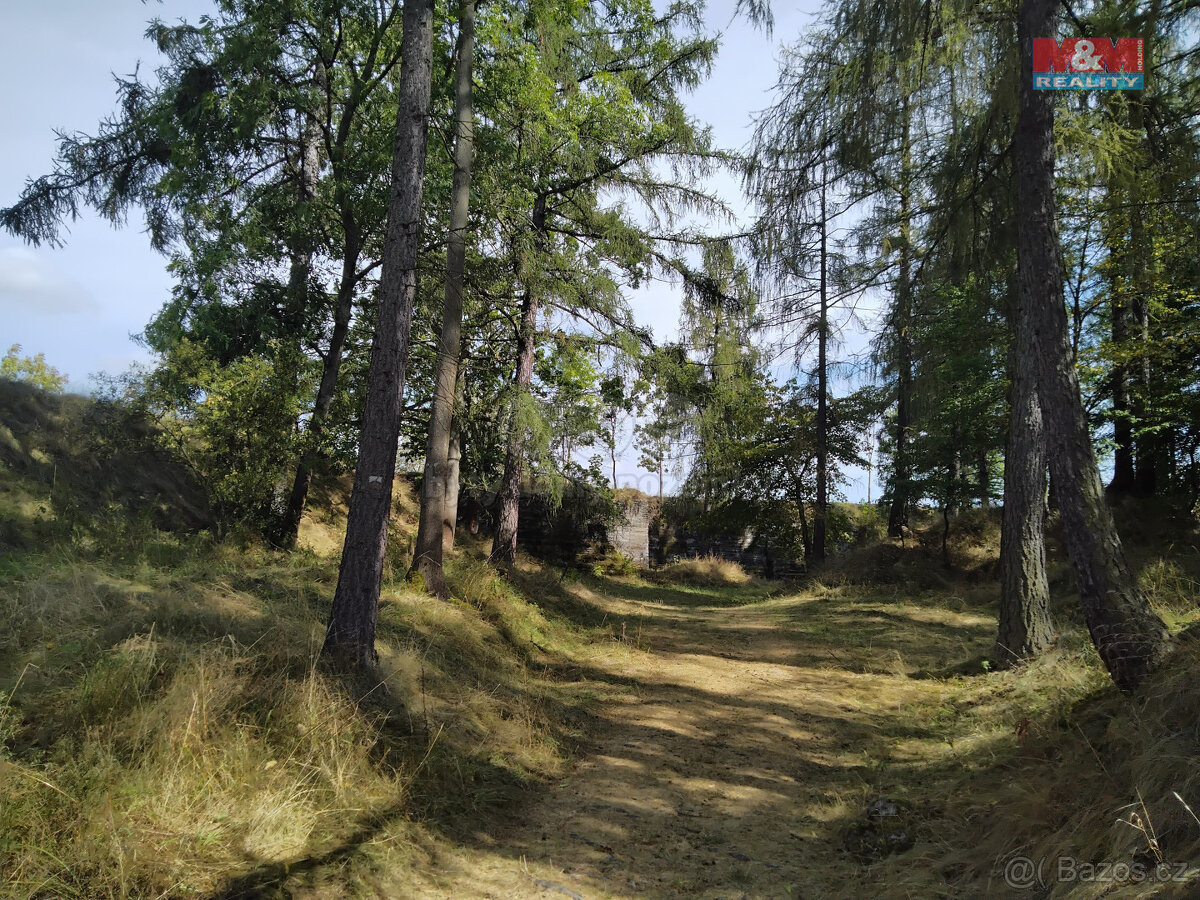Prodej tufitového lomu, 13529 m², Razová