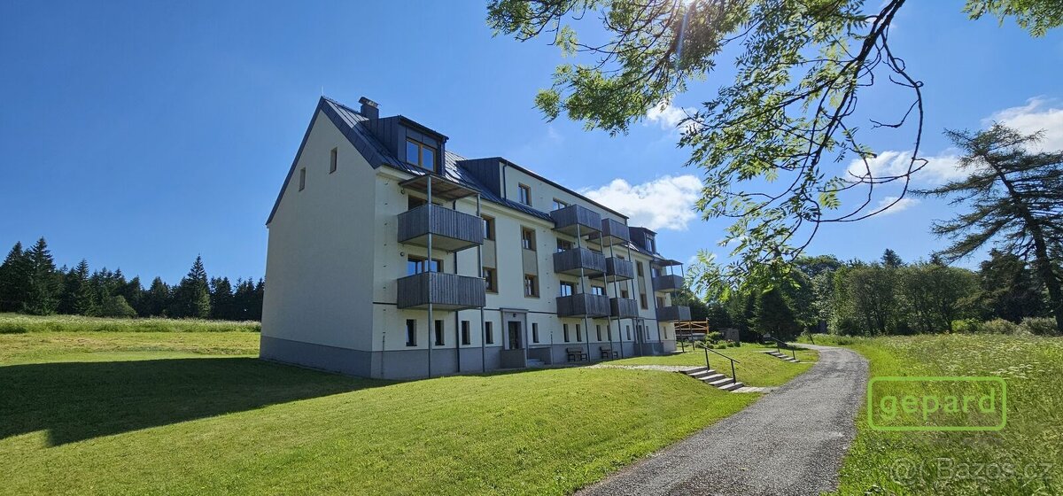 Apartmán s výhledem na Alpy - Svatý Tomáš - Lipno