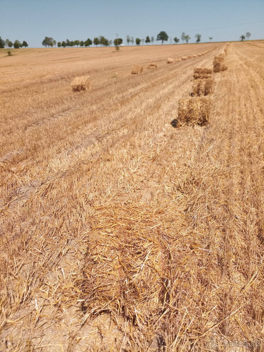 Sláma - Malé hranaté balíky