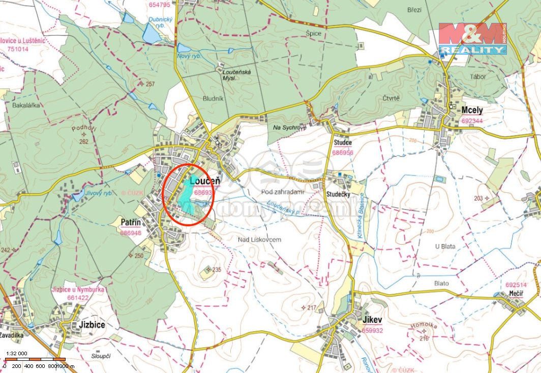 Prodej lesa, 98994 m², Loučeň