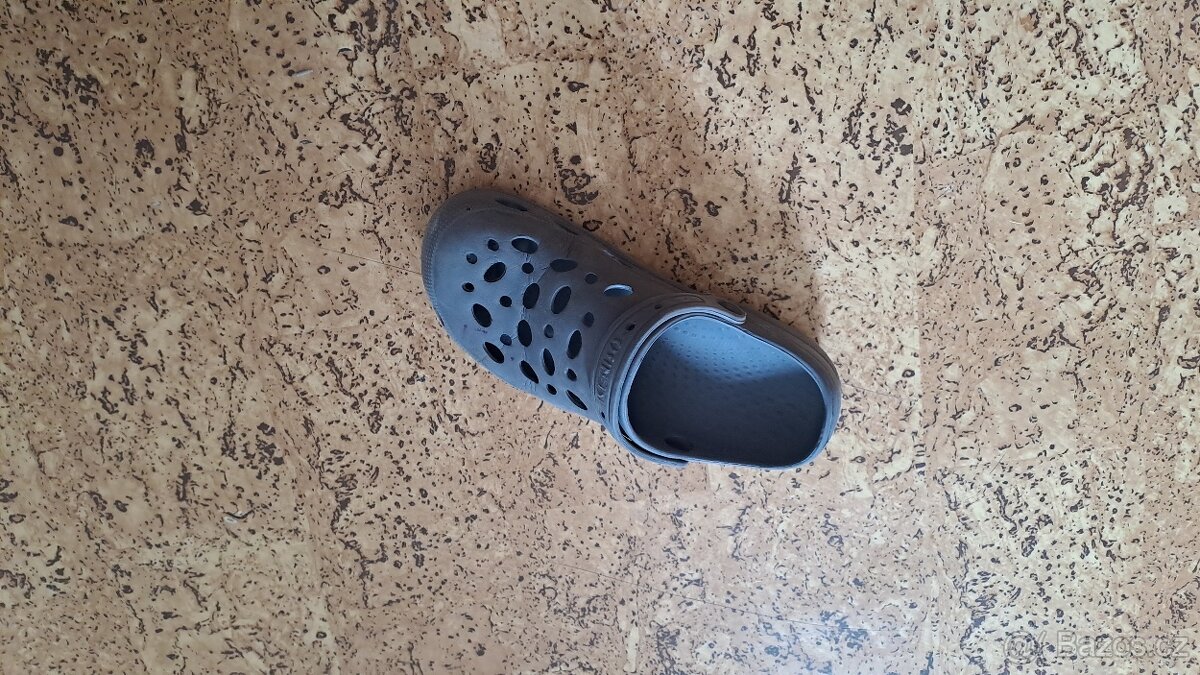 Bota