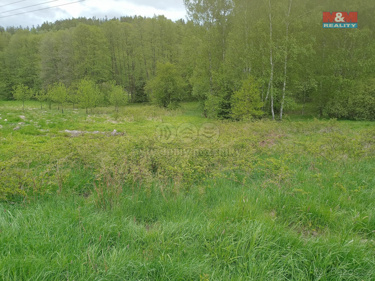 Prodej louky, 6962 m², Kořenov