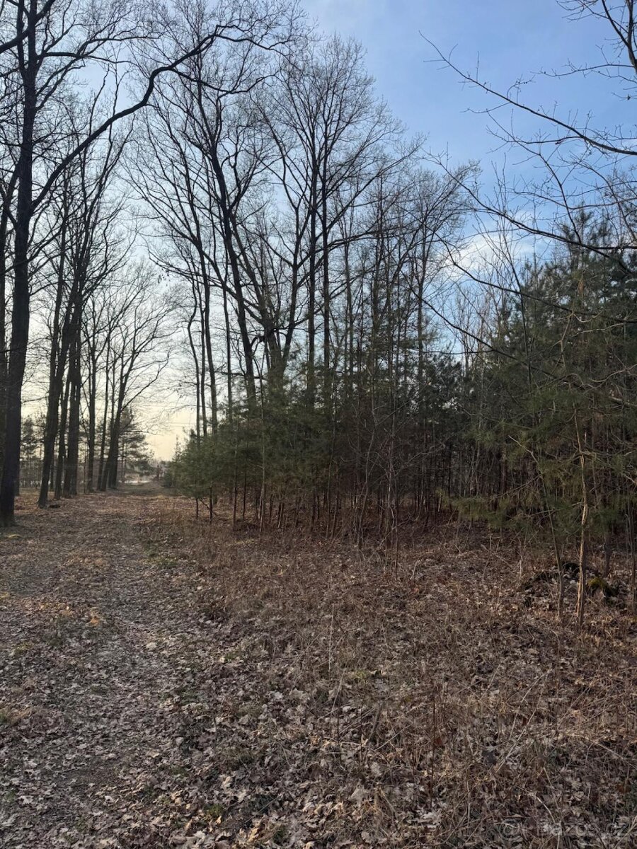 Prodám pozemky v k.ú. Stéblová