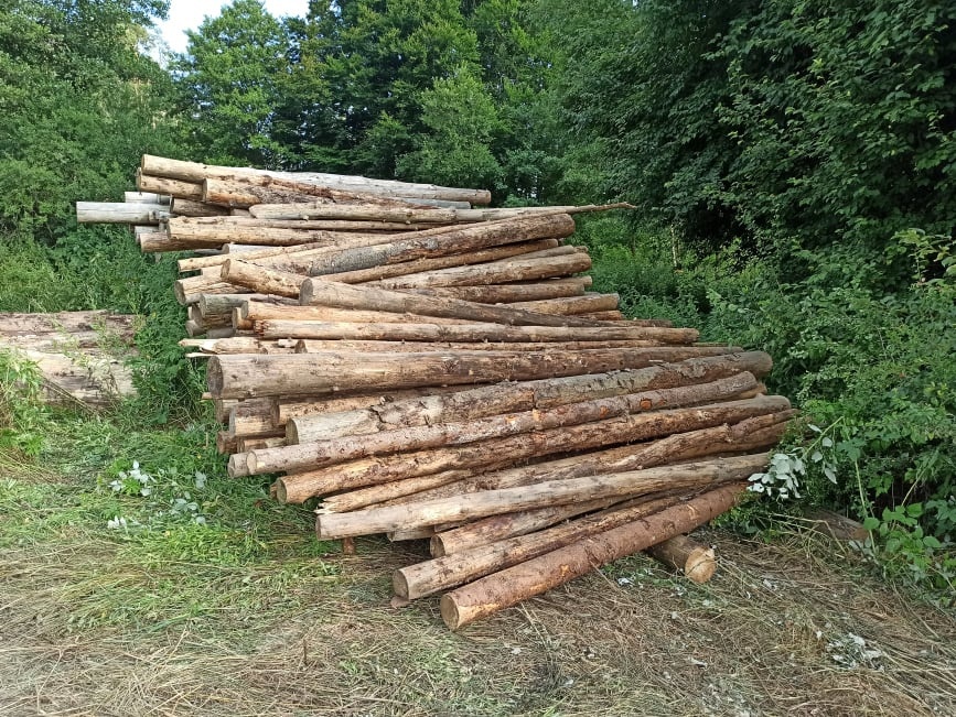 dřevo
