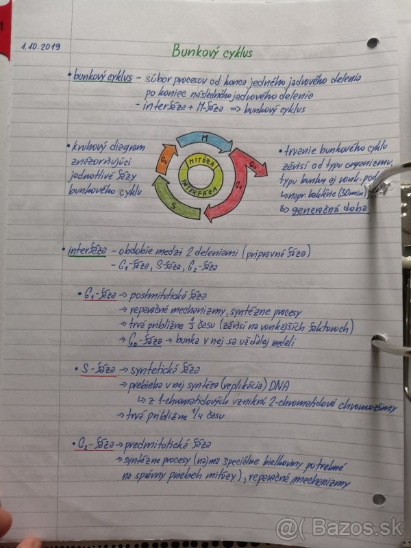 Biologie SŠ výpisky