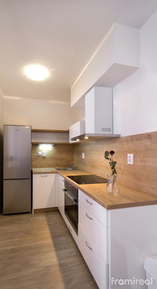 Pronájem ateliéru 1+kk, 46 m² - Brno - Židenice, ev.č. 01968