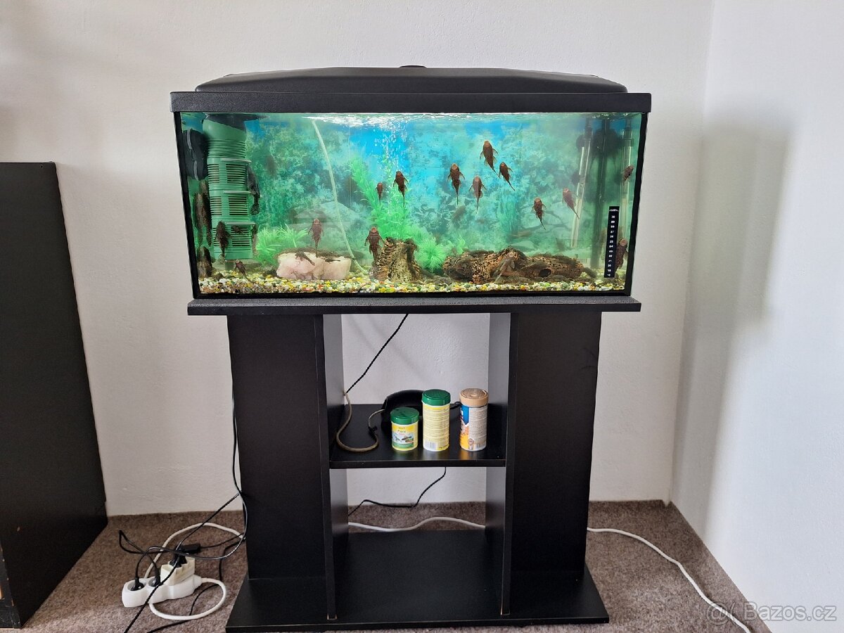 Daruji akvarium..REZERVACE