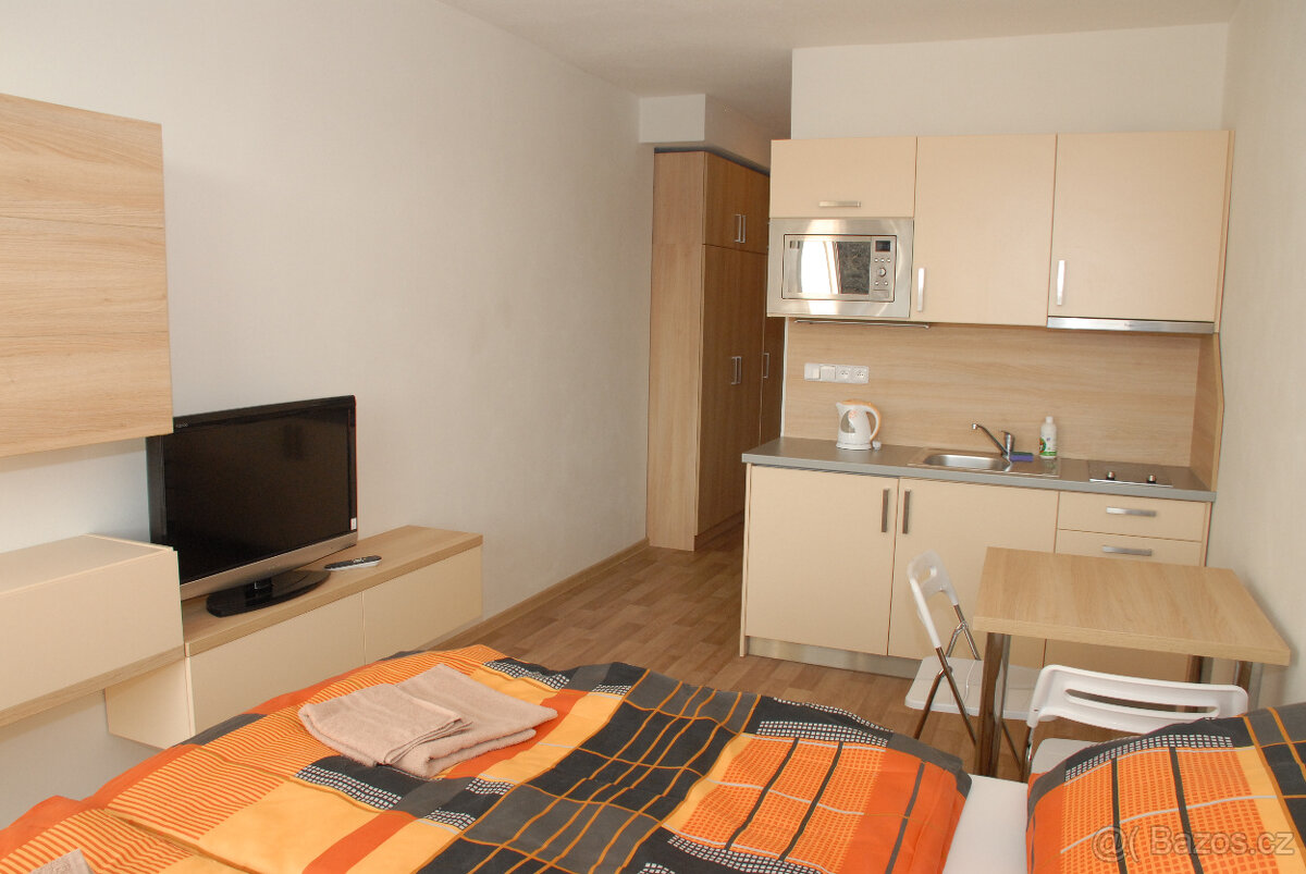 Byt/apartmán 1+kk Všemina u Slušovic