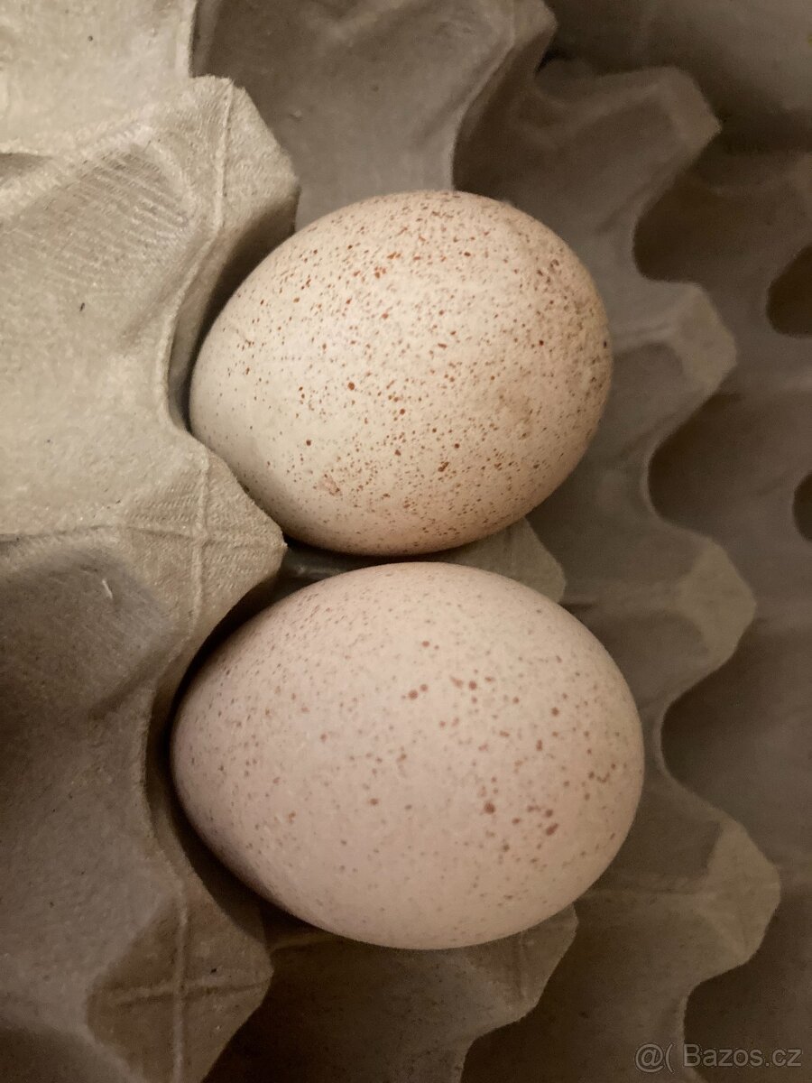 Násadová krutí vejce.