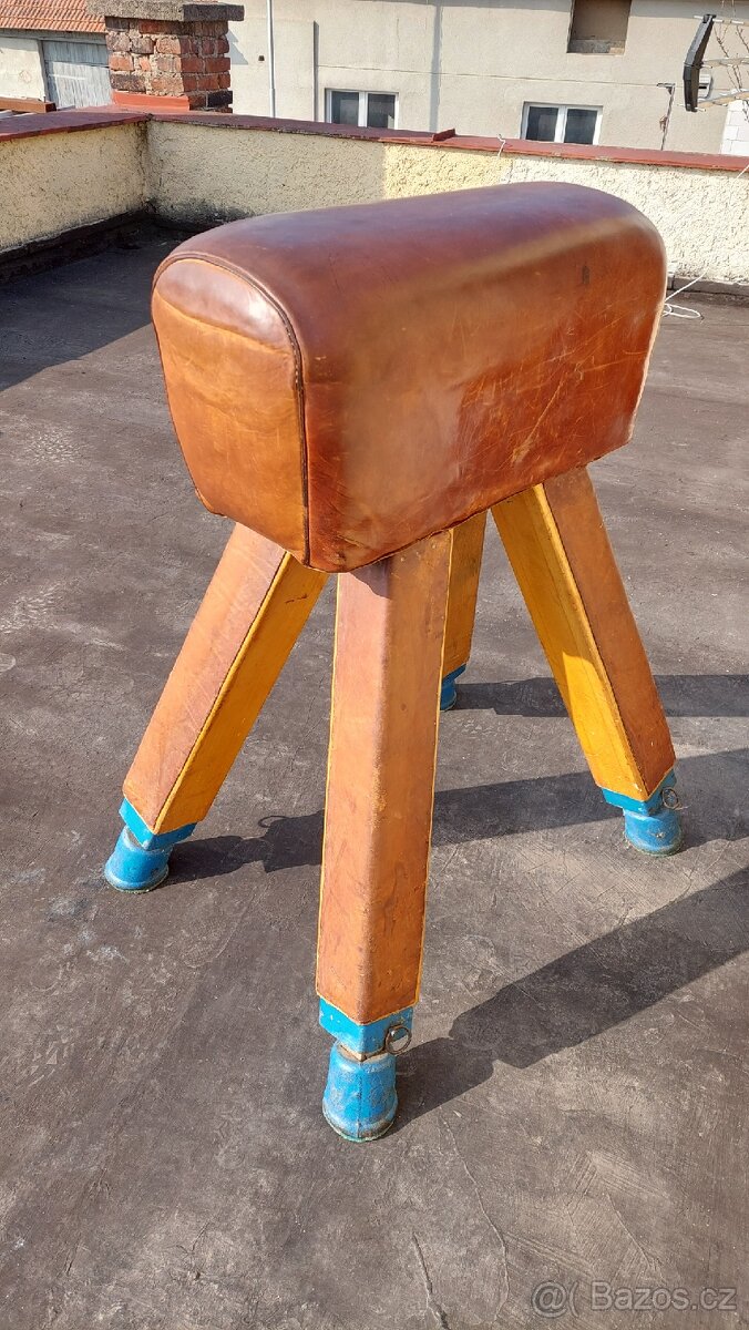 Gymnastická koza