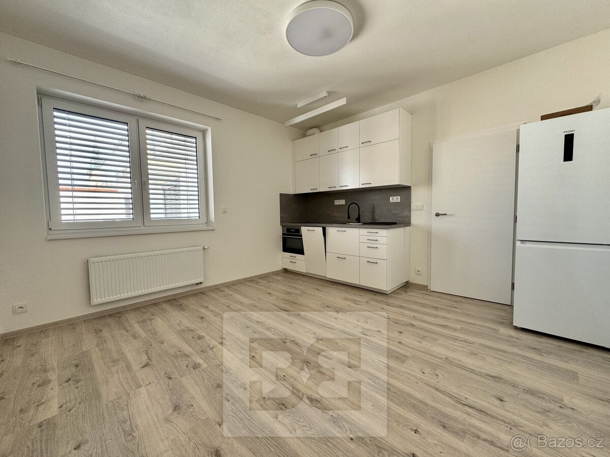 Pronájem byty 1+kk, 30 m2 - Brno - Trnitá, ev.č. N07955