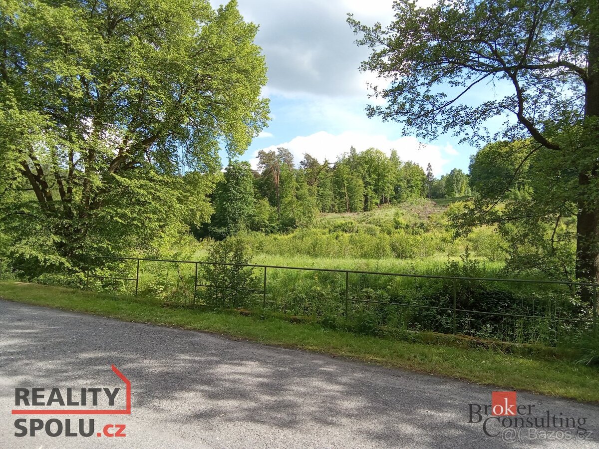 Prodej, pozemky/bydlení, 22894 m2, 40502 Janská, Děčín [ID 6