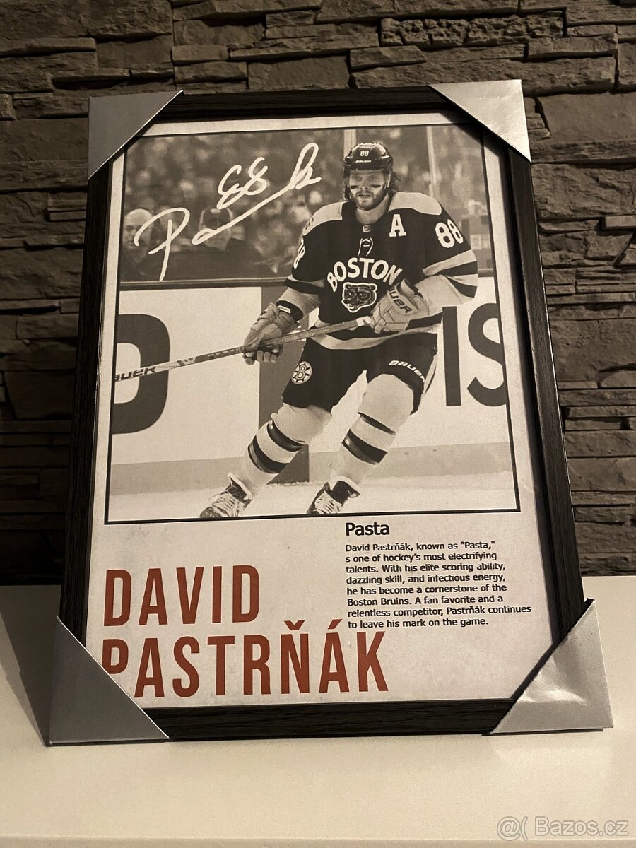 David Pastrňák (nebo cokoliv jiného na přání)