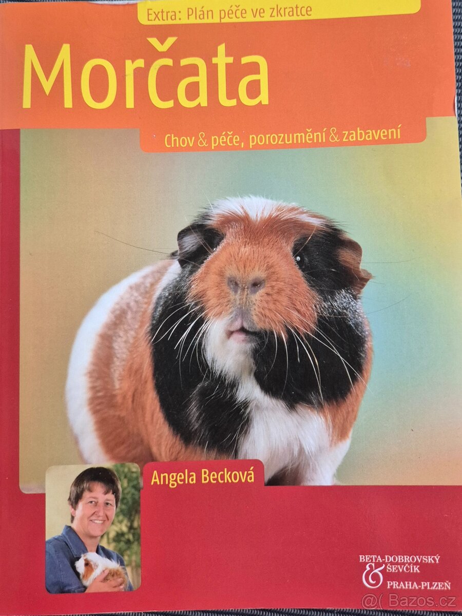 Kniha - Morčata