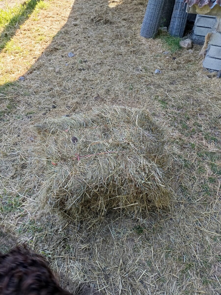 Balíky sena a slámy