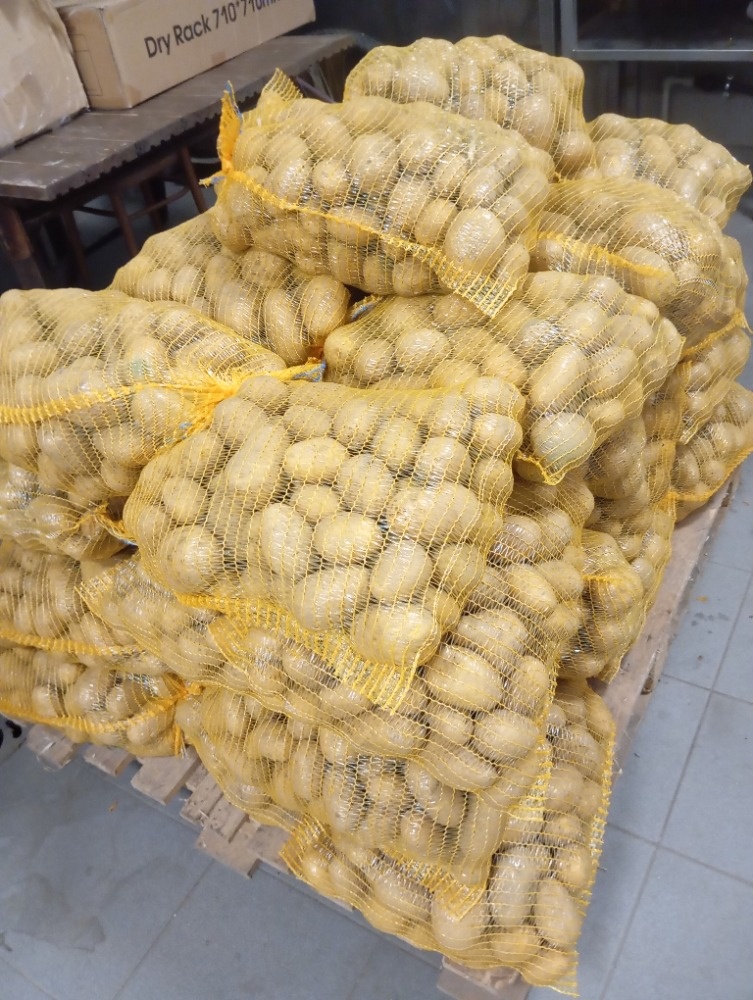 Brambory a cibule na uskladnění