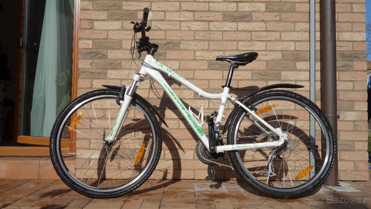 2018 Giant "26"