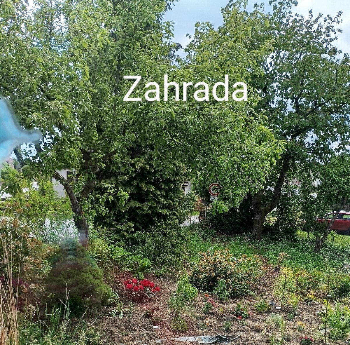 Pronájem bytu