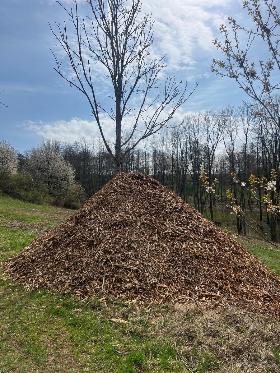 Štěpka