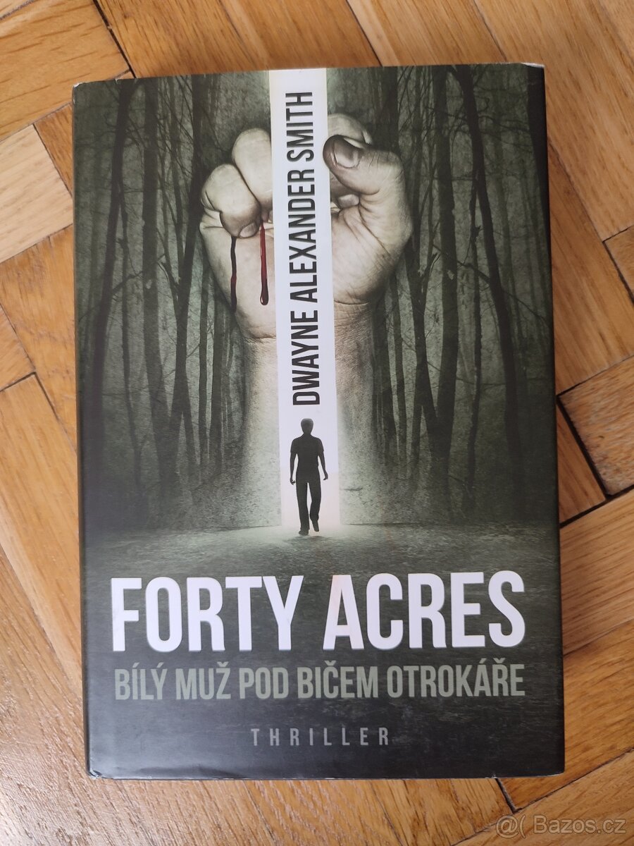 Forty Acres – bílý muž pod bičem otrokáře