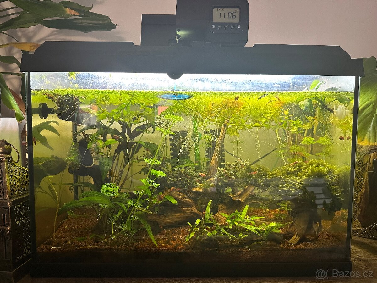 Akvárium Juwel 70l