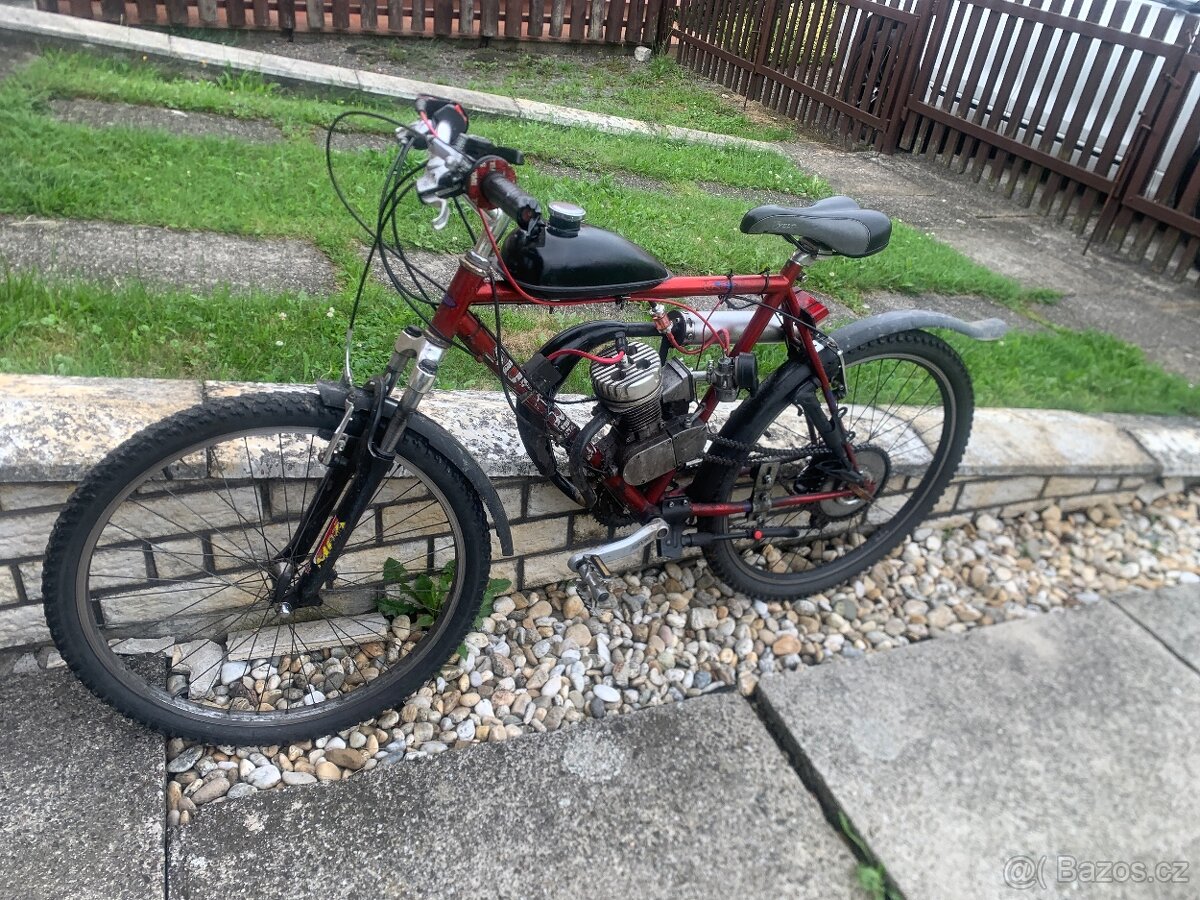 Moto koko