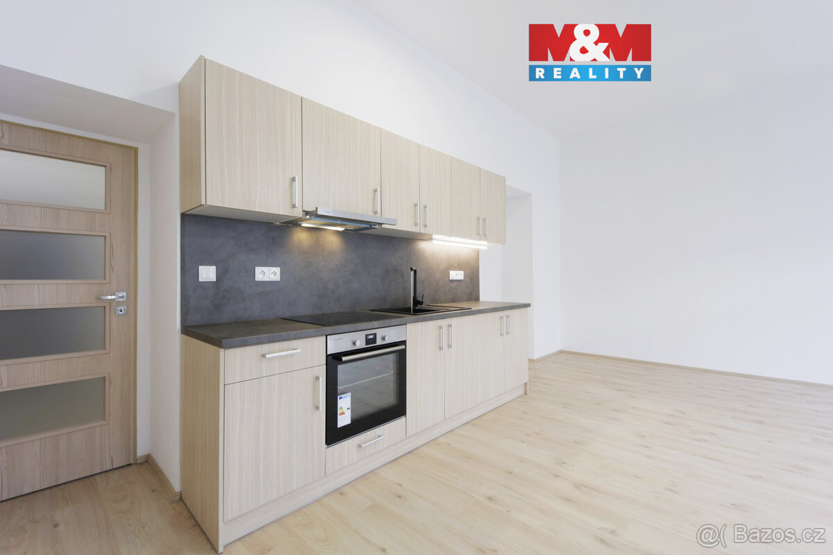 Pronájem bytu 1+kk, 55 m², Plzeň, ul. Americká