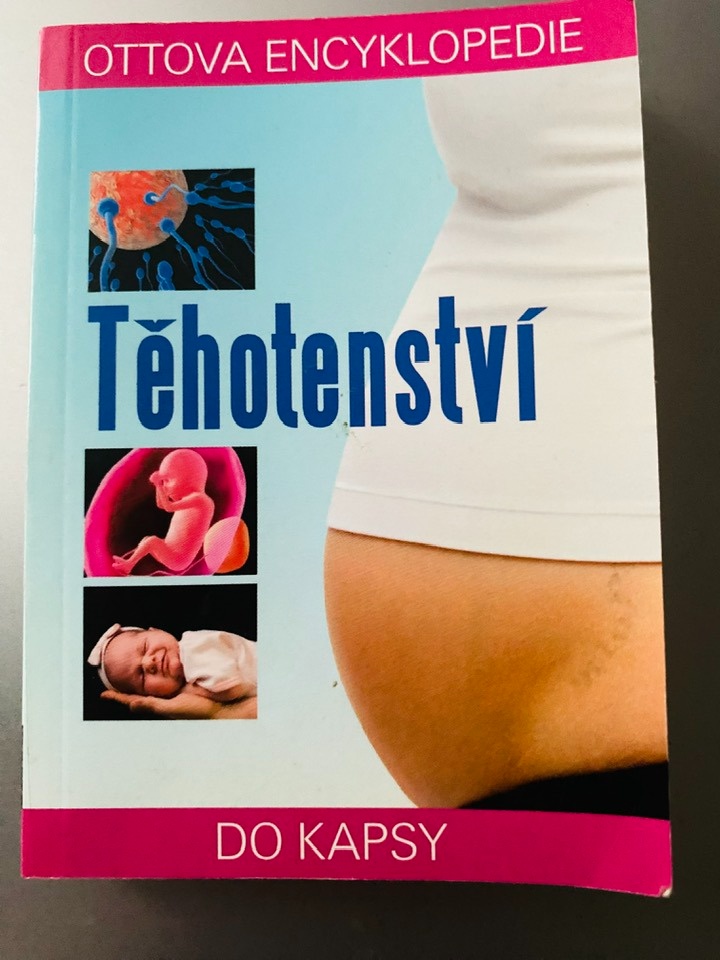 Těhotenství