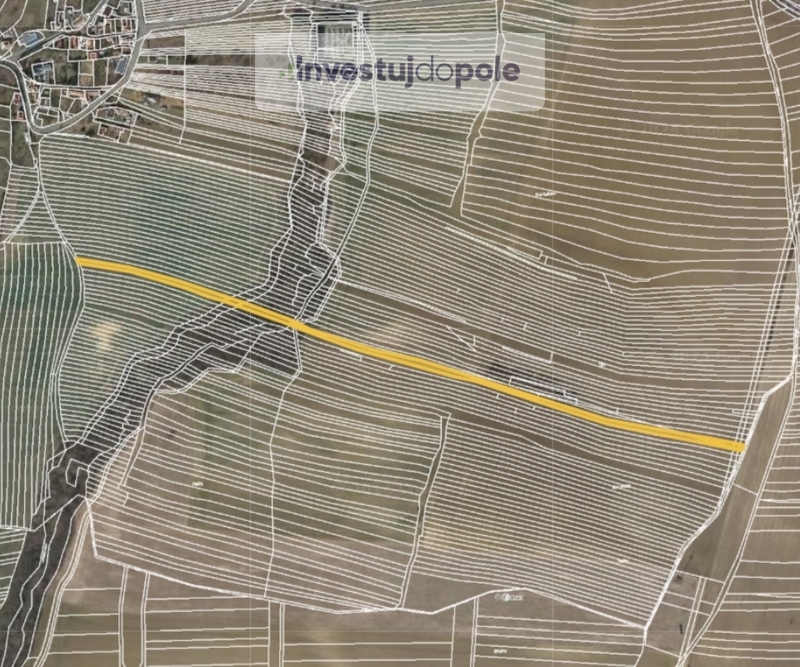 Prodej pole v k.ú. Vřesovice