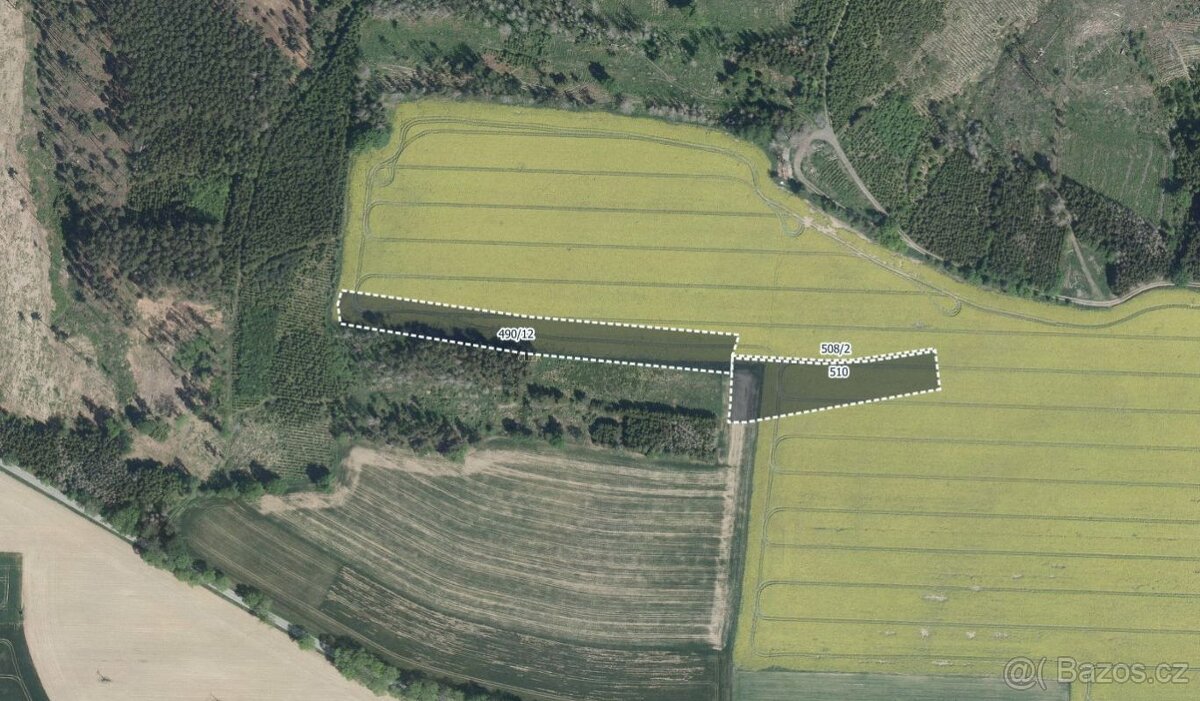 Zemědělská půda, prodej, Hořice, Pelhřimov