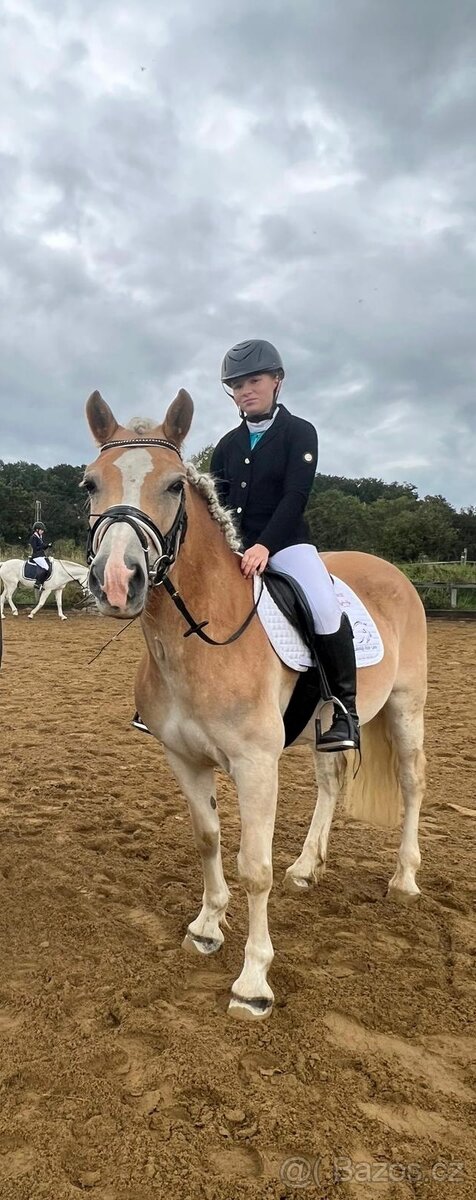 Patnáctiletý hafling