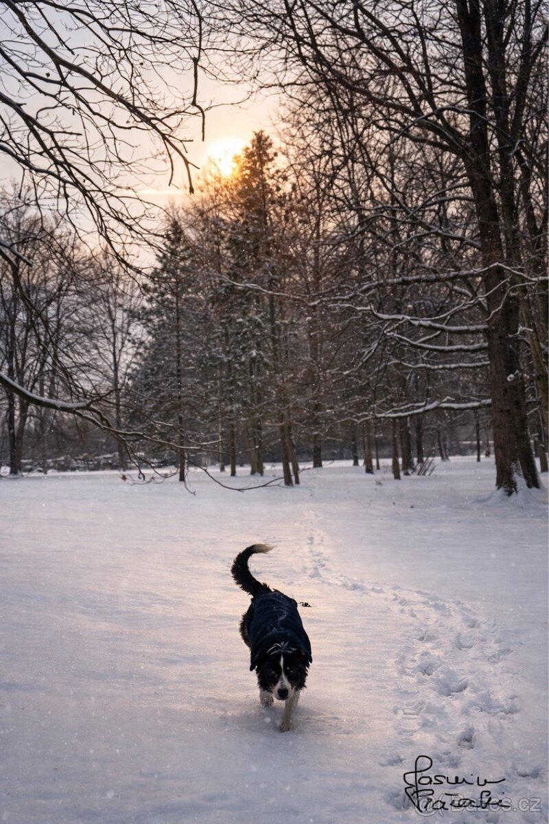 Hledám práci – ostraha objektu s možností bydlení