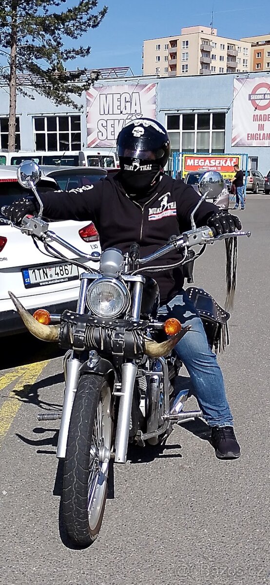Suzuki intruder 600