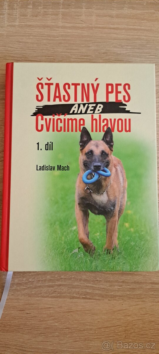 Šťastný pes aneb Cvičíme hlavou