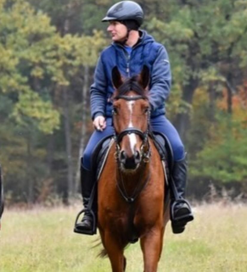 Prodám 5 l, Old. valach