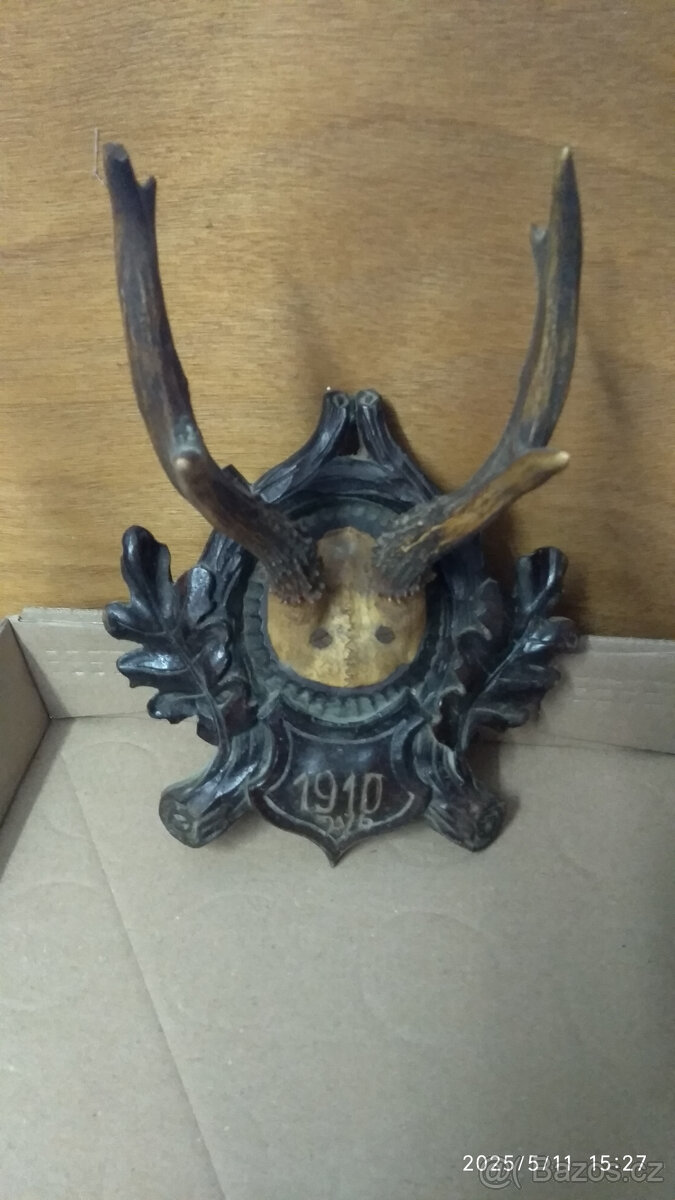 srnčí trofeje