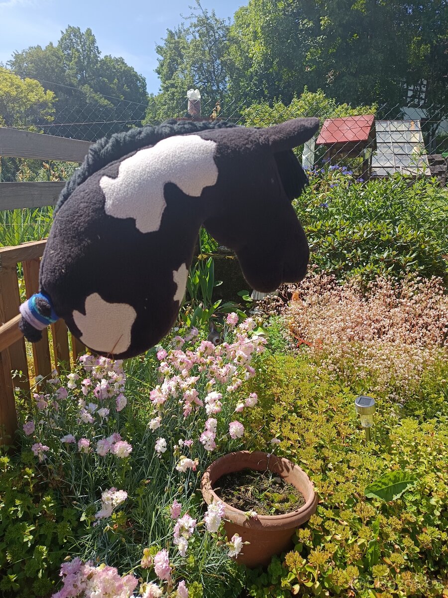 Hobby horse