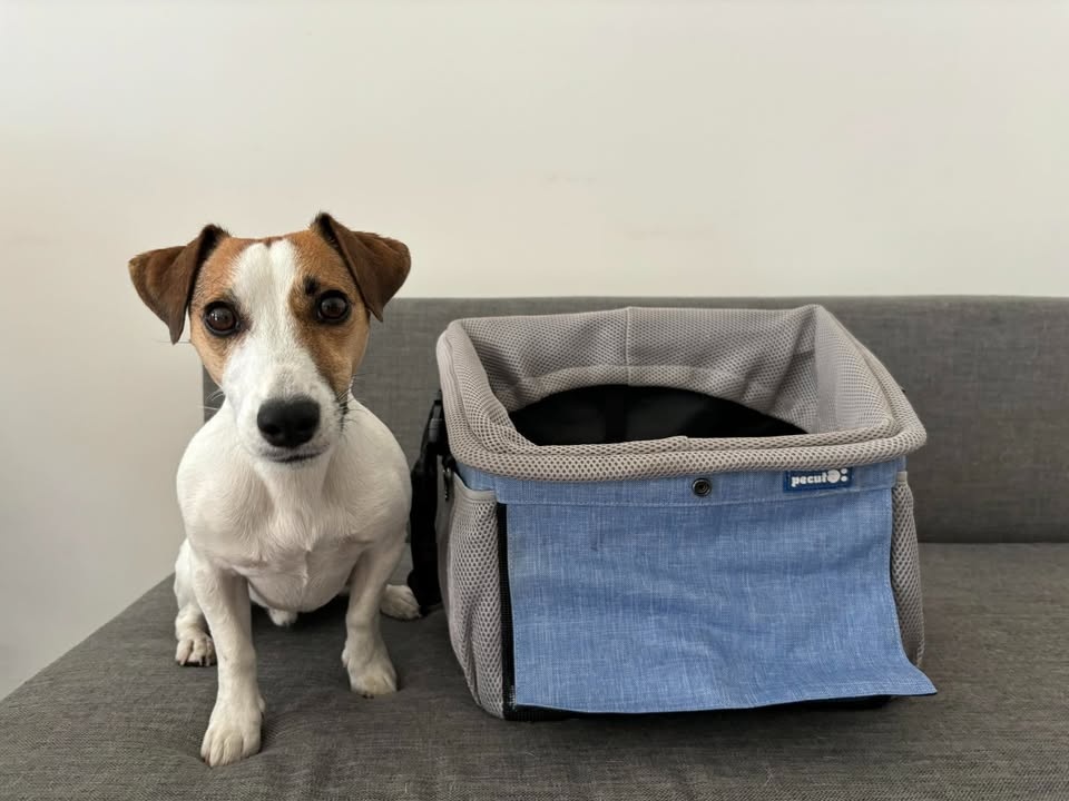 Přepravka na kolo pro psa