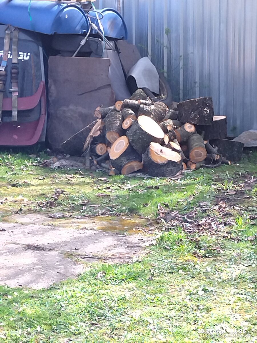 Dřevo třešeň na uzení