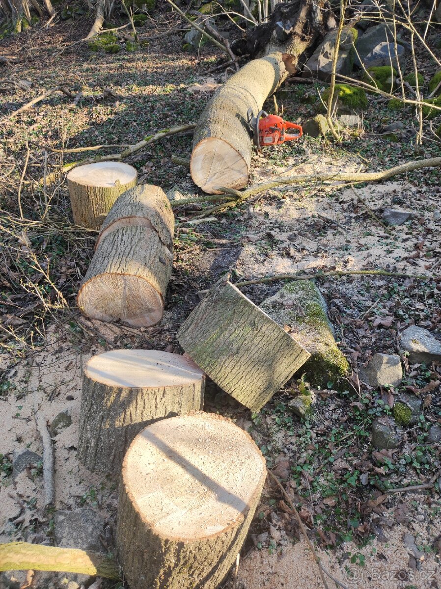Levné palivové dřevo Žatec ( Suchý buk akce)