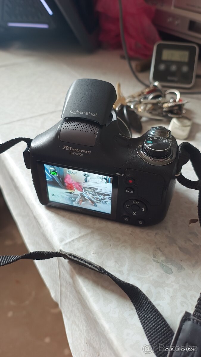Sony DSC-H300
