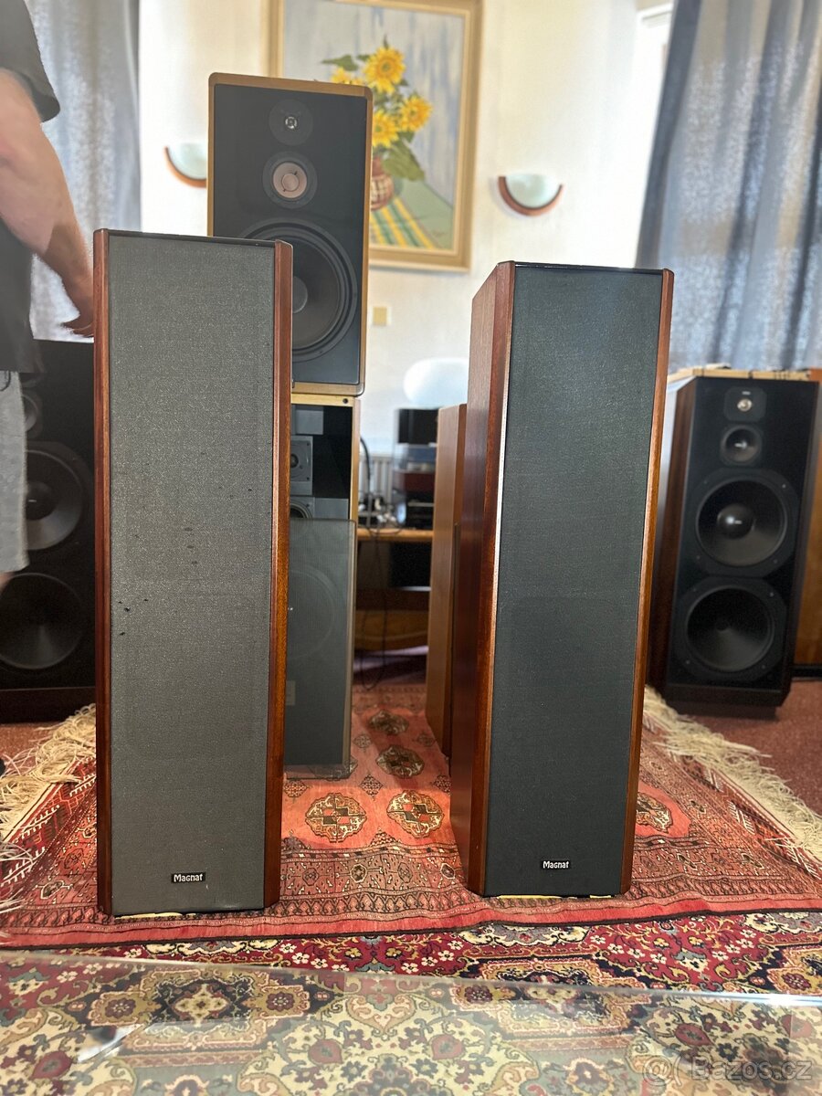 Magnat MSP 300